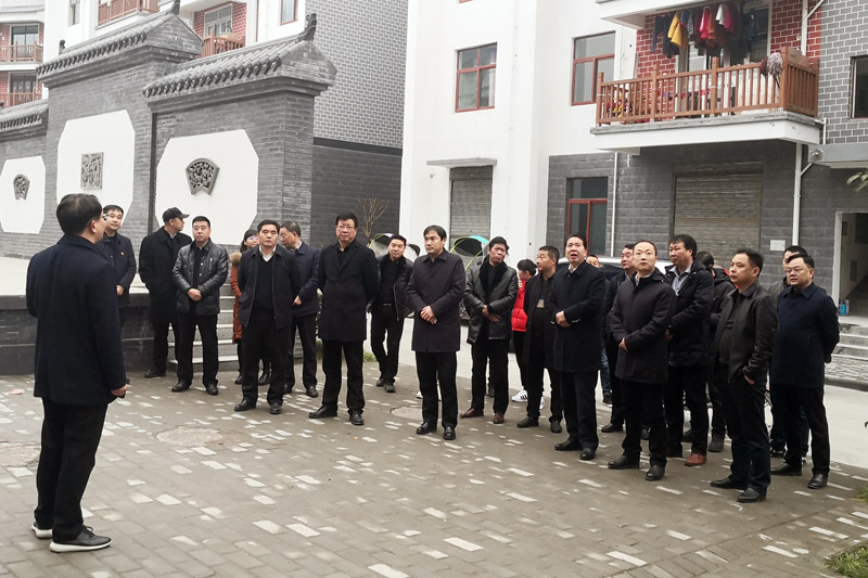 图二：镇党委书记李小东向各位代表介绍双龙中心社区（新华二期）安置点建设情况.jpg