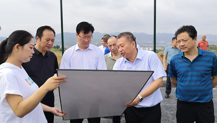副主任陈兴庆,区委常委,常务副区长罗本军,副区长冯荣平,区政协副主席
