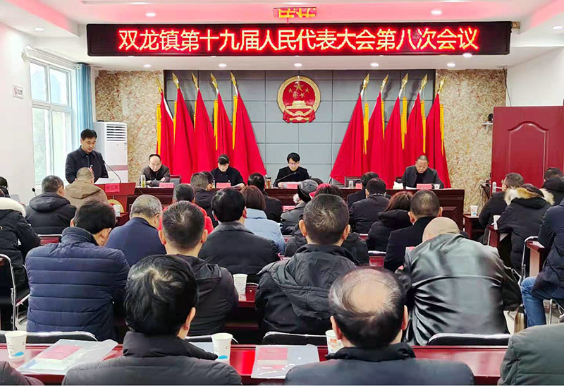 双龙镇第十九届人民代表大会第八次会议胜利召开