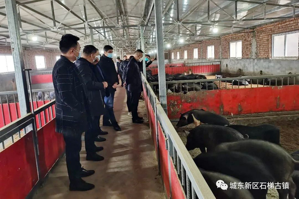 微信图片_20221209133637.jpg