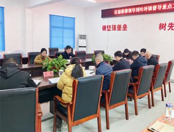 区人大常委会副主任罗延军到叶坪镇督导当前重点工作